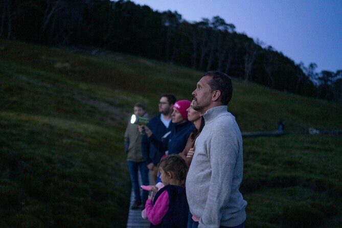 Wildlife Night Spotting at Cradle Mountain - Who Will Love This Tour?
