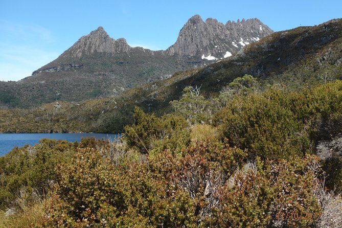 Wildlife Night Spotting at Cradle Mountain - The Sum Up