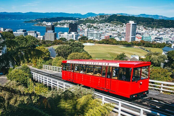 Wildlife Private Tour from Wellington Cruise Port - Introduction: Why Consider This Tour?
