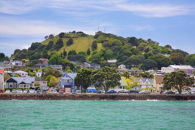 Wildlife Private Tour from Wellington Cruise Port - Who Is This Tour Best For?