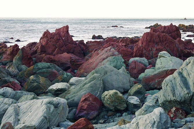 Wildlife Private Tour from Wellington Cruise Port - FAQ (Frequently Asked Questions)