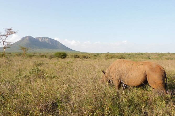 Wildlife Safari Tanzania - Accessibility and Requirements