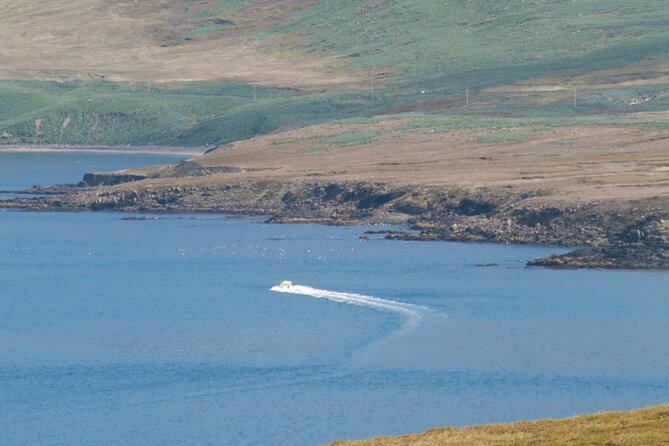 Wildlife, Scenery and Cave Exploring Tour! - Wildlife Sightings