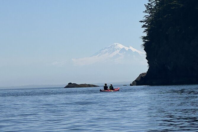 Wildlife Spotting Kayak Adventure on Orcas Island - An Honest Look at the Wildlife Kayaking Experience