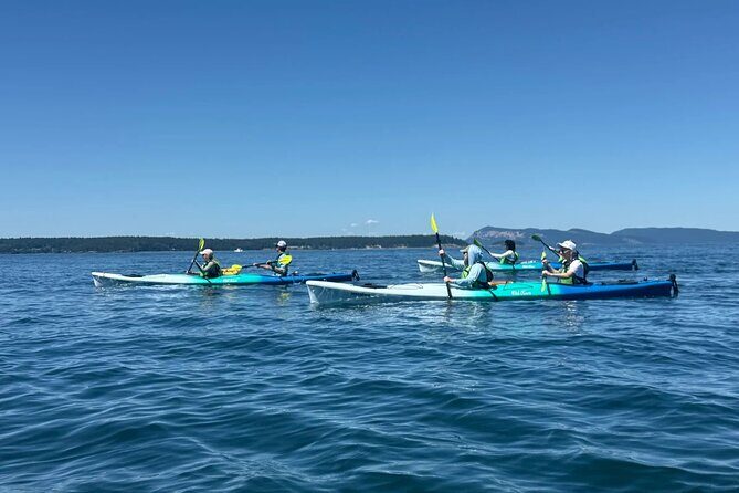 Wildlife Spotting Kayak Adventure on Orcas Island - Frequently Asked Questions