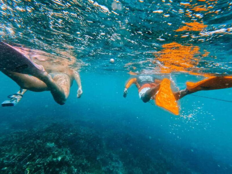 Wildlife Sri Lanka: 10-Day All-Inclusive Tour - Who Might Want to Think Twice