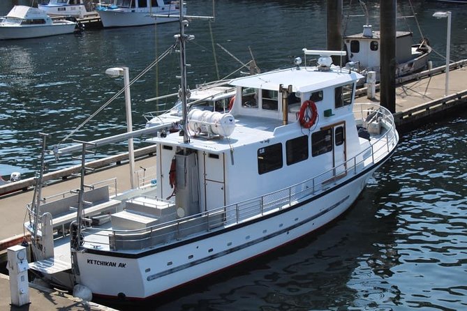 Wildlife Viewing and Whale Watching Quest - Customer Reviews