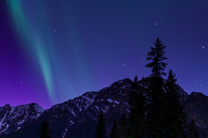 Wildlife Wild Skies: Jasper Planetarium Combo - An In-Depth Look at the Experience