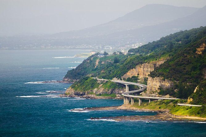 Wildlife, Wine & Waves  Epic South Coast Adventure from Sydney - A Closer Look at the Itinerary and Highlights
