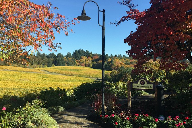 Willamette Valley Character Winery Tour - Tips for an Enjoyable Visit