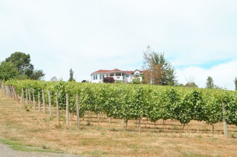 Willamette Valley Wine Tour - Key Points
