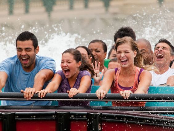 Williamsburg: Busch Gardens Ticket & Water Country Option - Diverse Animal Exhibits