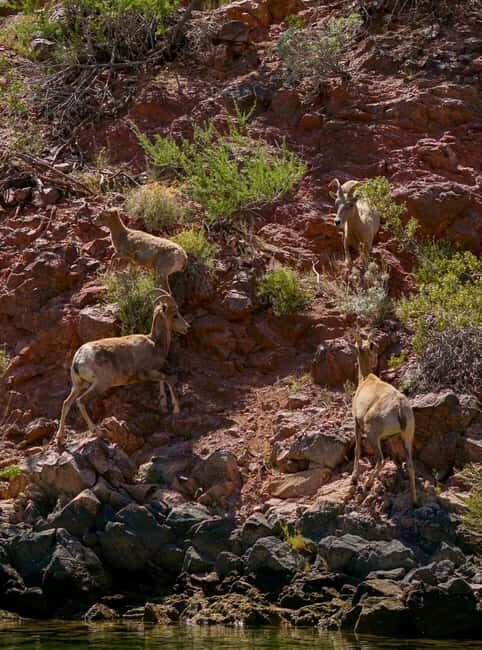Willow Beach: Half-Day Emerald Cave Kayak Tour 3 Caves - Key Points
