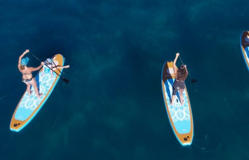 Willow Beach: Paddle Board (Sup) Rental - Booking and Cancellation