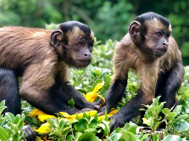 Willowbank Wildlife Reserve Day Entry Ticket - Is It Worth It?