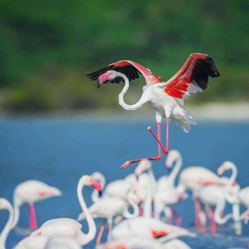 Wilpattu: All Inclusive Private Full-Day Jeep Safari 12h - FAQs