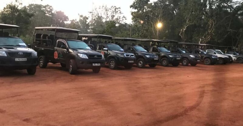 Wilpattu National Park Excursion From Hunuwilagama Entrance - Wildlife and Nature Experience