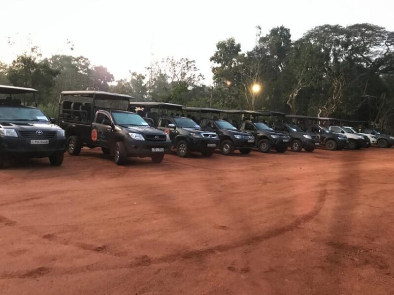 Wilpattu National Park Excursion From Hunuwilagama Entrance - Itinerary and Logistics
