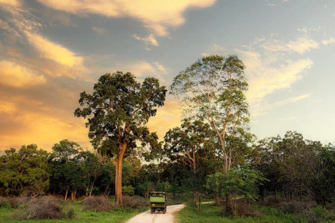 Wilpattu National Park : Full Day Safari (06:00am - 18:00pm) - Customer Review Highlights