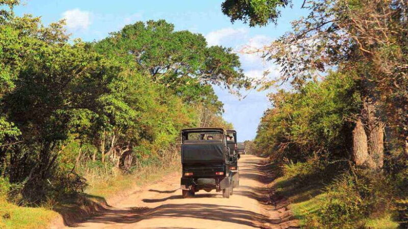 Wilpattu National Park: Full-Day Safari From Trincomalee - Practical Details and Tips