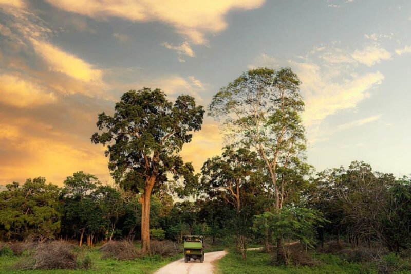 Wilpattu National Park- Morning or Afternoon Safari - Included in the Safari