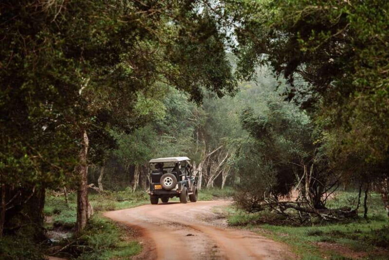 Wilpattu National Park: Private Safari (12hrs) - Who Will Love This Tour?