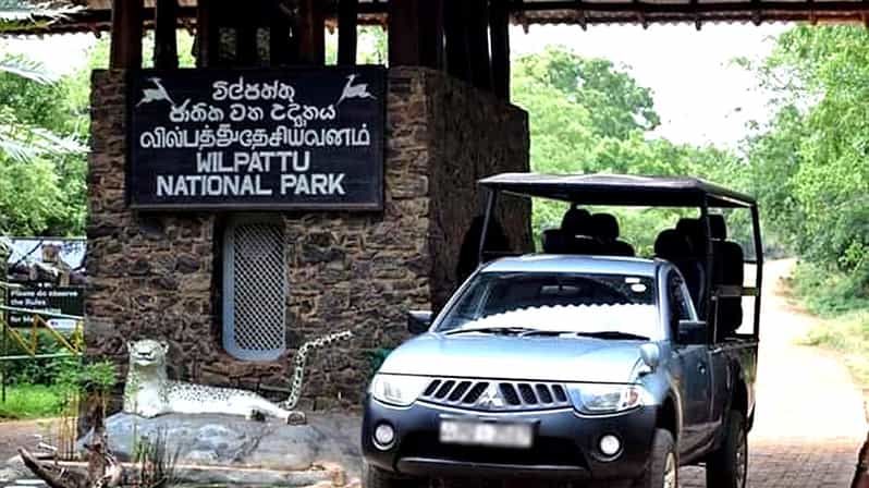 Wilpattu National Park Private Safari Jeep Tour - Tour Overview