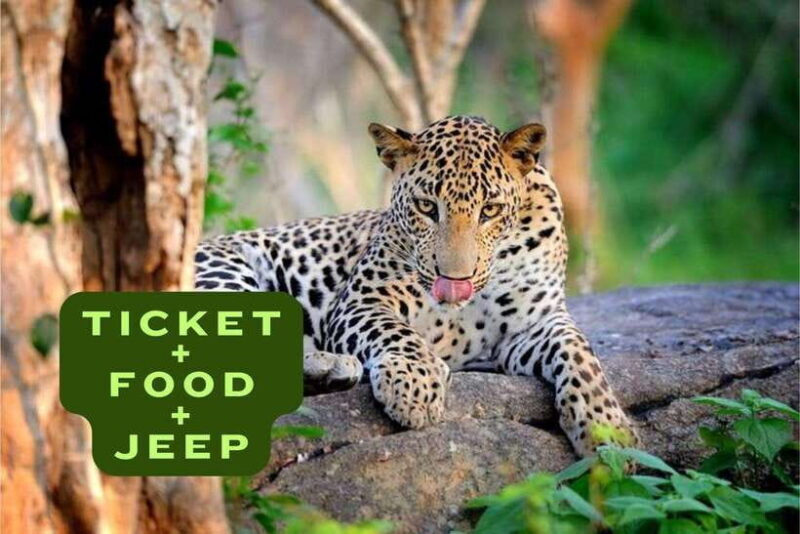 Wilpattu National Park Safari Jeep Tour - A Closer Look at the Wilpattu Safari Experience