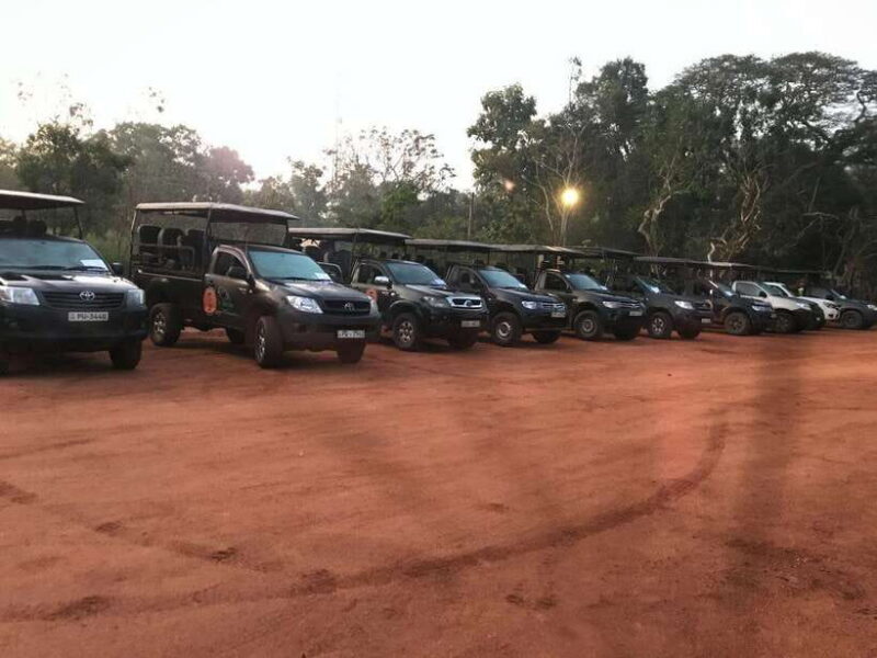 Wilpattu National Park Safari - Who Should Consider This Safari?
