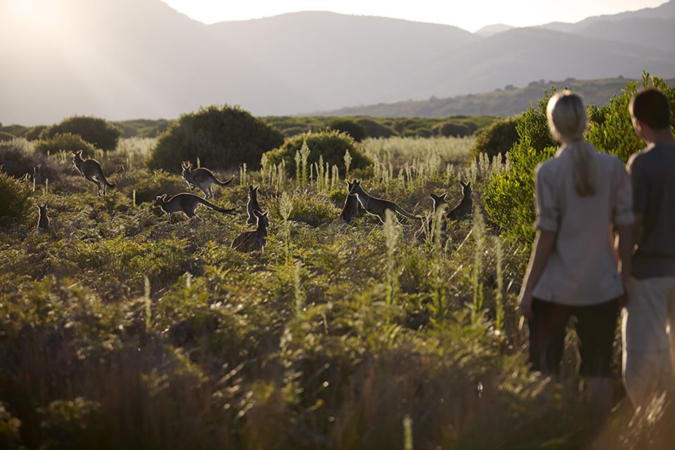 Wilsons Promontory National Park Full-Day Tour - Key Points