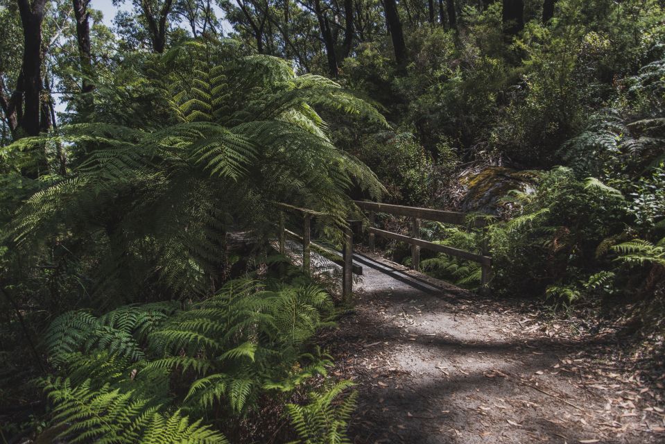 Wilsons Promontory National Park Full-Day Tour - Recap