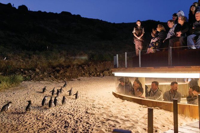 Wilson's Promontory & Phillip Island - 'Prom & Penguins' Tour - Who Is This Tour Best For?