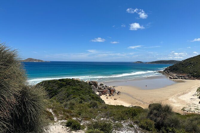 Wilsons Promontory Wilderness Day Tour - Who Should Consider This Tour?