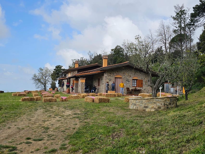 Win near Florence lunch or dinner in a traditional Tuscan farmhouse - A Tasty Journey into Tuscany: Dining and Discovering in Vinci