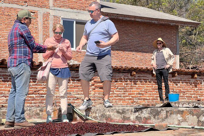 Wind TOUR: Mountains, Forests, Enigma Stones and Coffee Farms - Exploring the Itinerary in Detail