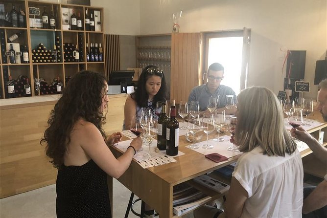 Windmills of Don Quixote Wine Tour & Tasting From Madrid - Pricing and Cancellation Policy