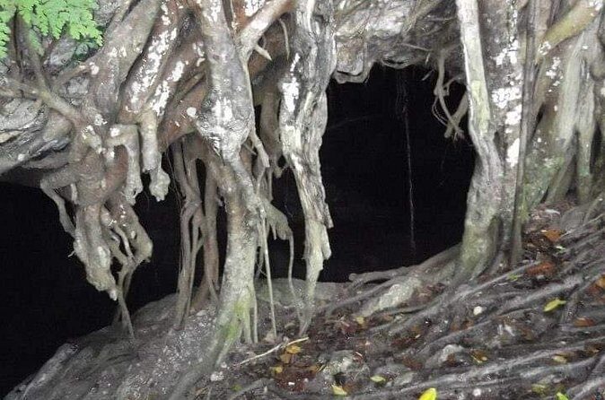 Window Cave Walking Tour from San Juan - Cultural and Natural Insights