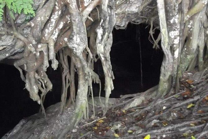 Window Cave Walking Tour from San Juan - Practical Details and Value