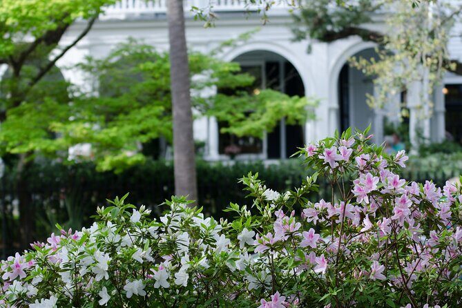 Window into American History: A Self-guided Charleston Audio Tour - Rainbow Row and Its Past