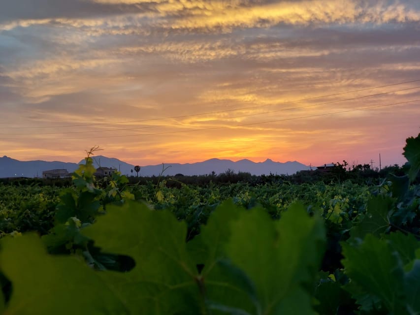Wine and Food at Sunset - Key Points