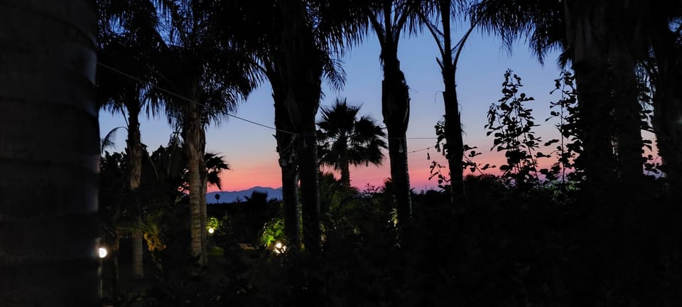 Wine and Food at Sunset - Culinary Offerings