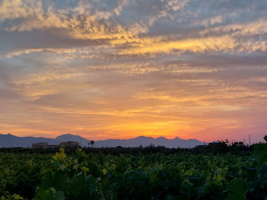 Wine and Food at Sunset - Winemaking Process