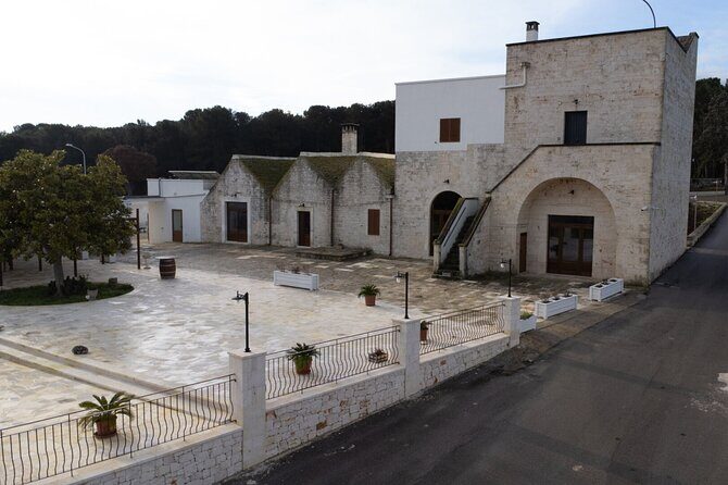 Wine and Food Pairing Experience at Alberobello Winery - Key Points