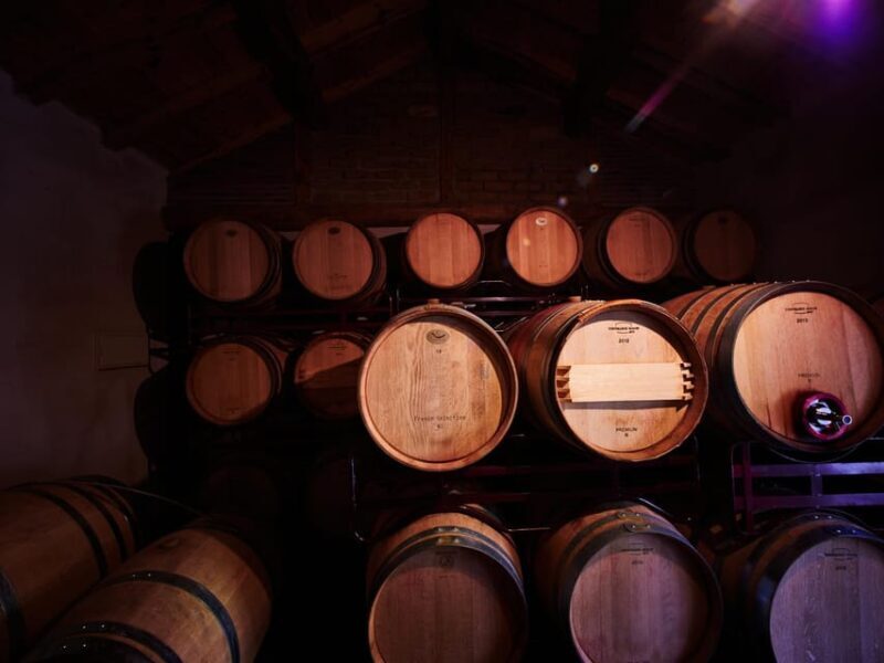 Wine and Food Pairing Tasting Las dos Antiguas- Bodega Artesanal Segovia - Key Points