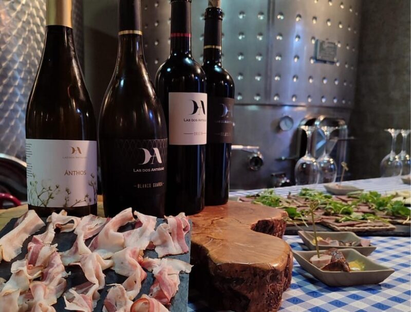 Wine and Food Pairing Tasting Las dos Antiguas- Bodega Artesanal Segovia - The Sum Up