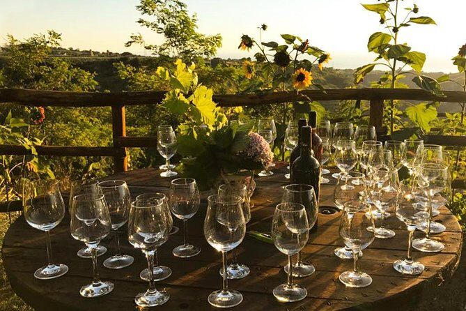 Wine and food tasting - A Delightful Calabrian Wine and Food Tasting Near Tropea