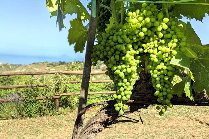 Wine and food tasting - Final Thoughts