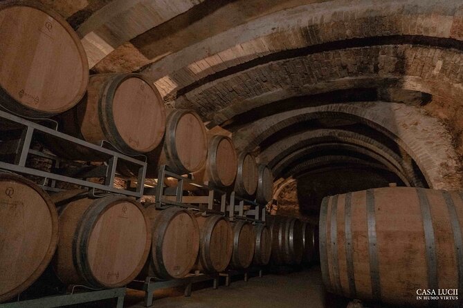 Wine and Food Tasting in an Organic Family Winery - Tuscan Cantucci Delight