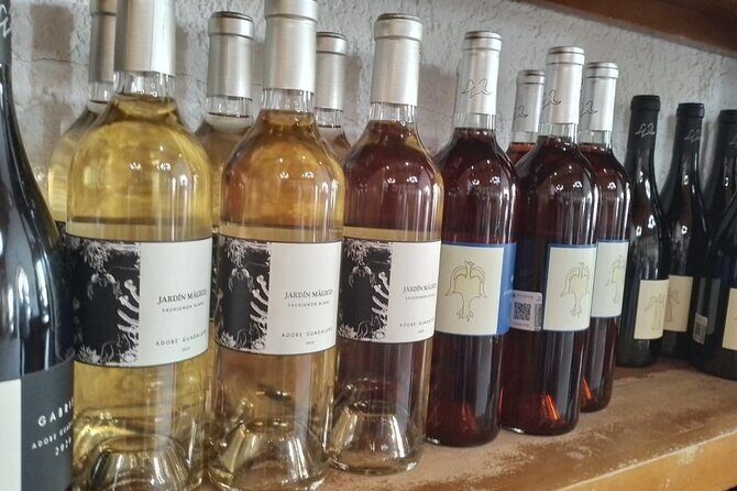 Wine and gastronomic tour in Guadalupe Valley for groups 6 - FAQ