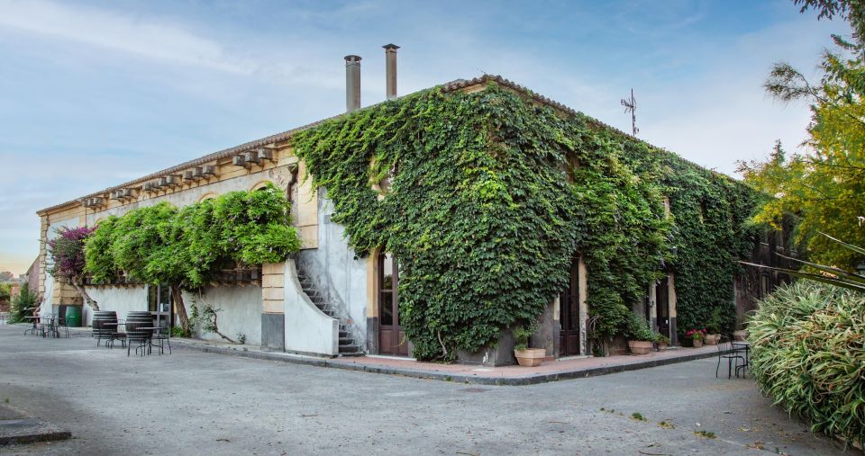 Wine and Local Delicacies Tasting at a Sicilian Palmento - Ideal Location for Tastings